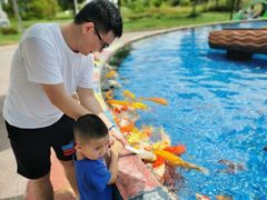 -云漫湖生态度假公园