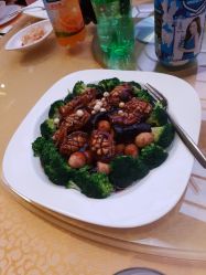-中茵皇冠假日酒店·宴会厅
