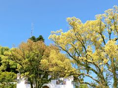 -乌山风景区