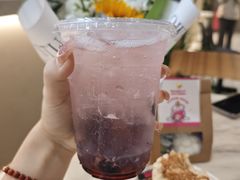 -MONANA蛋糕研究所