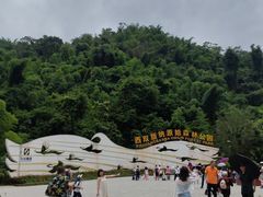 -西双版纳原始森林公园