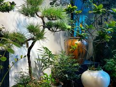 -自由生长植物工作室(深港花卉中心店)