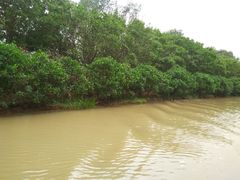 -大湾区中央湿地公园