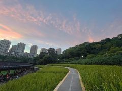 -龙头寺公园