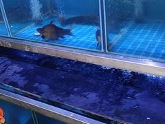 -八仔大富楼·河鲜(西江店)