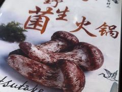 -菌之家·专业纯野生菌火锅·特色炒菌
