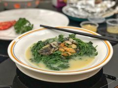 上汤枸杞叶-蚝专家(北滘店)