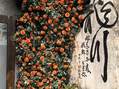 -绩溪龙川景区