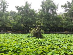 -四川大学(华西校区)