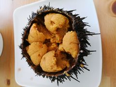 -海胆小馆(东北水饺·春柳店)