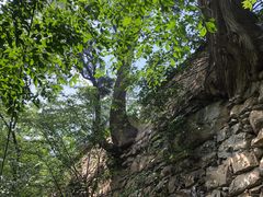 -北京上方山国家森林公园