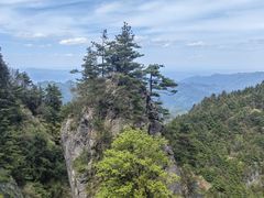 -秦岭天竺山生态文化旅游景区