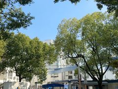 -上海闵行区蔚蓝启蒙幼儿园
