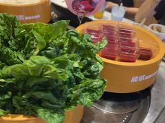 -龍歌自助小火锅(秦淮水游城店)