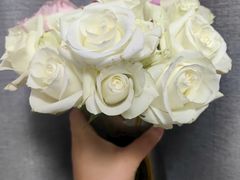 -溪岸路花鸟市场