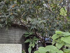 -颐和路民国时期公馆风貌区