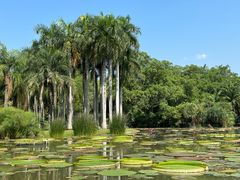 -中国科学院西双版纳热带植物园