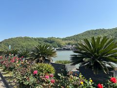 -桃花岛风景旅游区