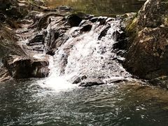 -九龙江国家森林公园