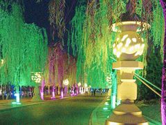 -天平湖公园