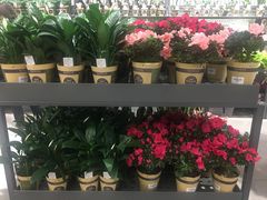 -鹿岛会员店 (龙湖三千集天街店)