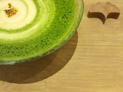 -柴务处·柴犬主题狗咖