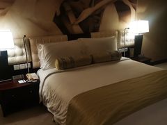 -国家会议中心大酒店