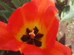 -长春公园(普阳街道)