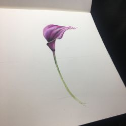 -飛凡TATTOO纹身•原创