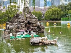 -团结湖公园