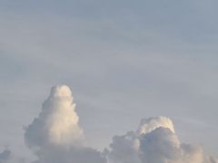 -成都市活水公园