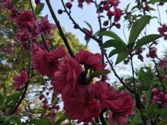 -桃花涧
