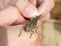 -君乐宝优致牧场