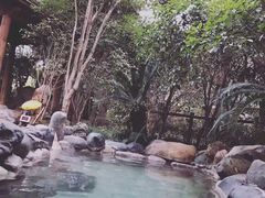 -张家港金凤凰度假村温泉