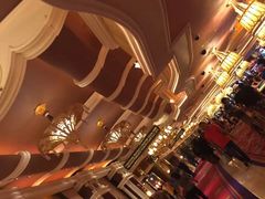 -拉斯维加斯永利酒店