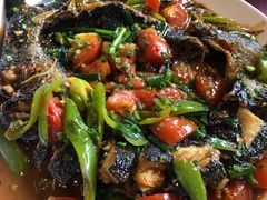 -生态苑农庄(十里画廊遇龙河店)