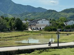 -黄牛肉馆·皖南土菜