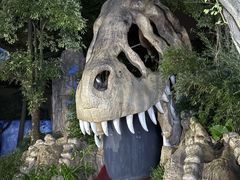 -森波拉火山温泉