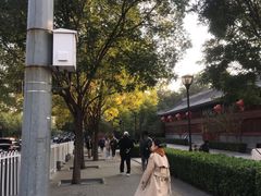 -秋栗香(地安门店)