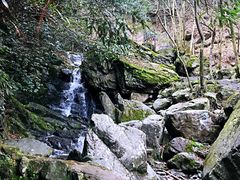 -藏龙百瀑风景区