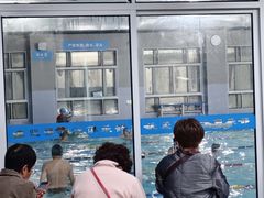 -沈坚强游泳俱乐部(武宁南路店)