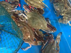 -宾朋海鲜特色美食餐厅·纯手工鲅鱼水饺(兴海路店)