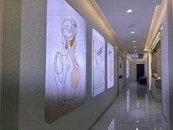 -金圣医疗美容