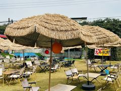 -桃源山庄·水蜜桃采摘·柴火鸡·烧烤团建(龙泉山店)