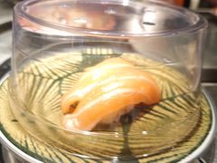 -小乔回转寿司(沈阳大悦城店)