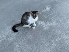 -青岛市图书馆