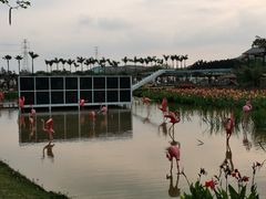 -盈香心动乐园