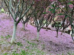-石岛赤山风景区