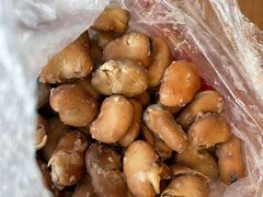 -洪湖里王姐大乌豆