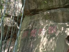 -铁山坪森林公园